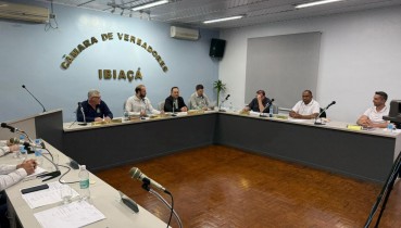Cmara apresenta plenrio reformulado em sesso ordinria desta segunda-feira